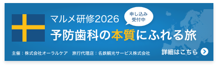 マルメ研修2026